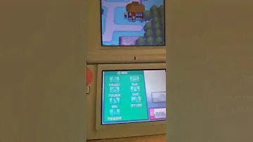 DS Lite screen issue??
