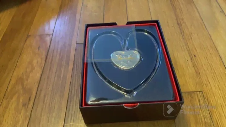 Unboxing undertale collectors edition