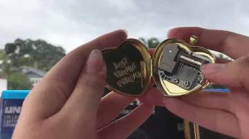 undertale collectors edition music box locket :)